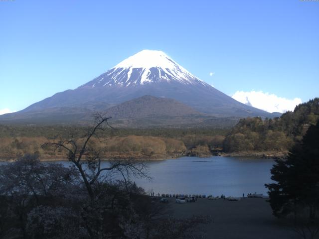精進湖からの富士山