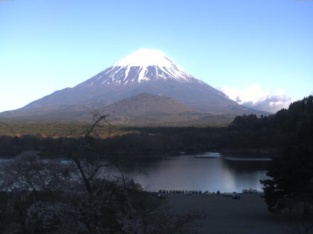 精進湖からの富士山