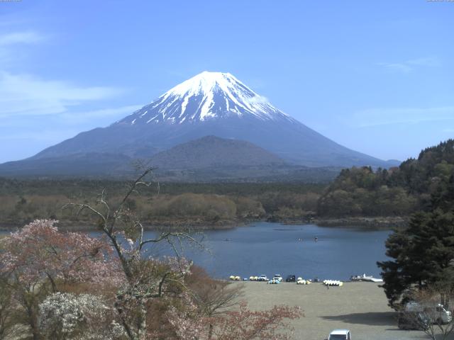 精進湖からの富士山