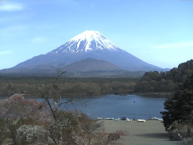 精進湖からの富士山