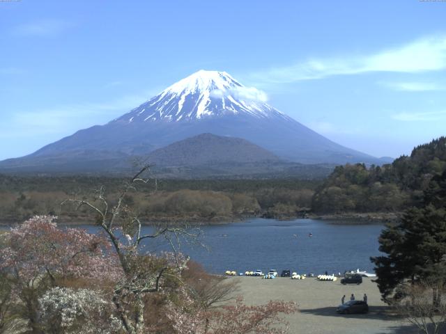 精進湖からの富士山