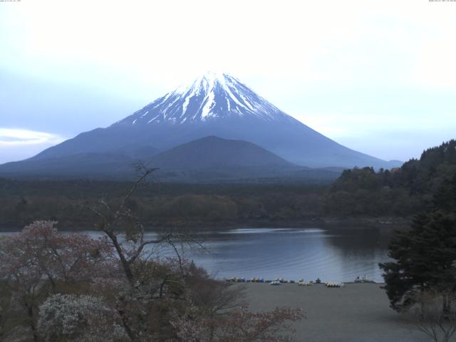 精進湖からの富士山