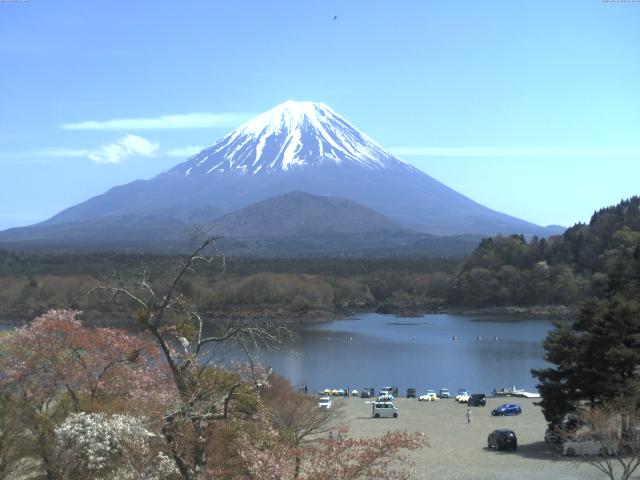 精進湖からの富士山