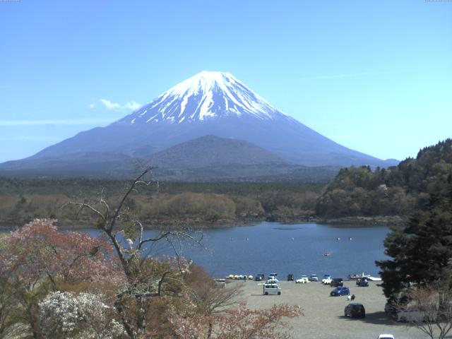 精進湖からの富士山