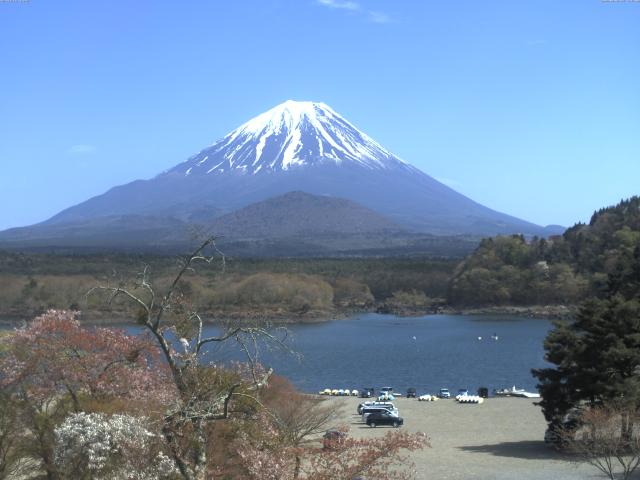 精進湖からの富士山