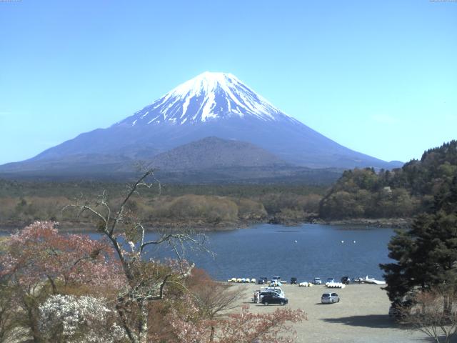 精進湖からの富士山
