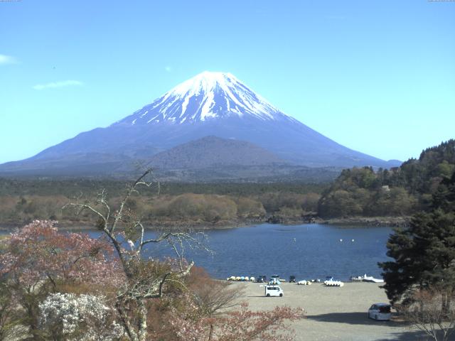 精進湖からの富士山