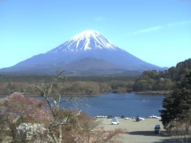 精進湖からの富士山