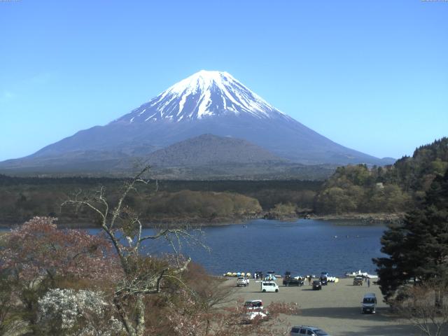 精進湖からの富士山