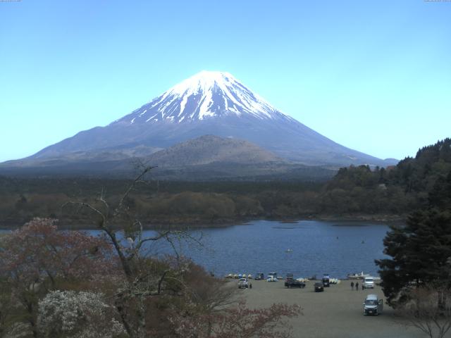 精進湖からの富士山