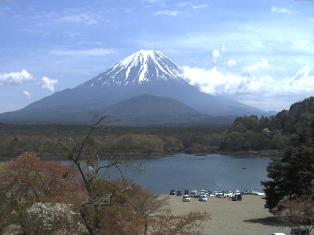 精進湖からの富士山