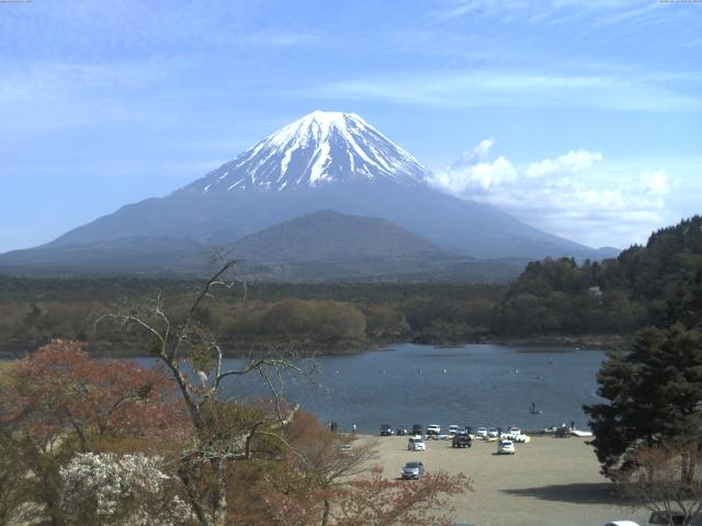精進湖からの富士山