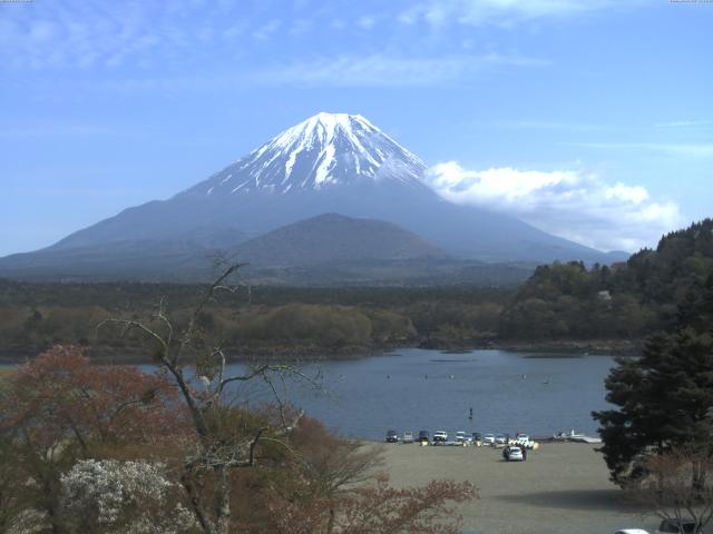 精進湖からの富士山