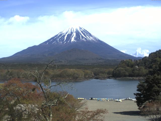 精進湖からの富士山