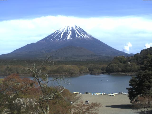 精進湖からの富士山