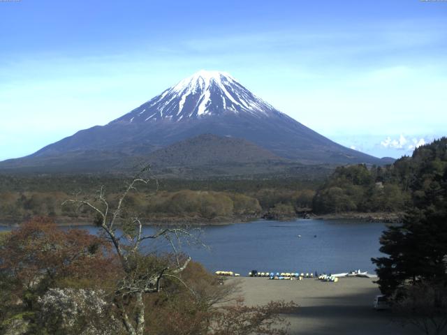 精進湖からの富士山