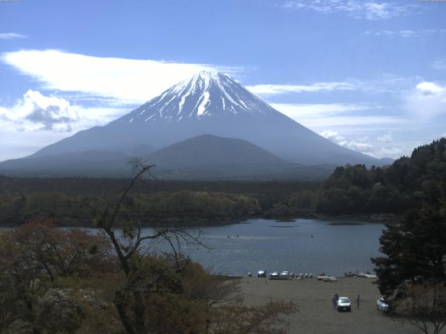 精進湖からの富士山