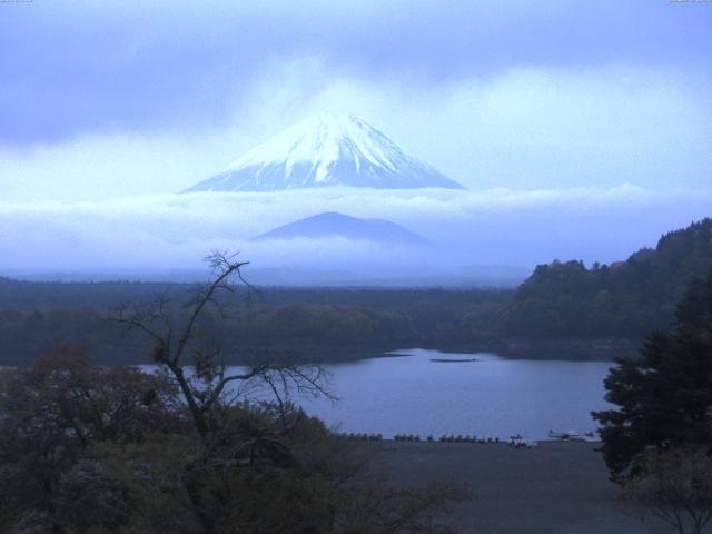 精進湖からの富士山