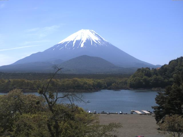 精進湖からの富士山