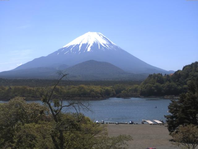 精進湖からの富士山