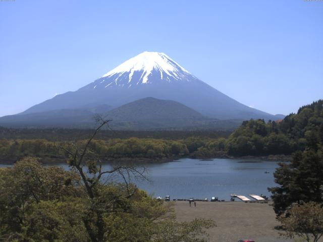 精進湖からの富士山