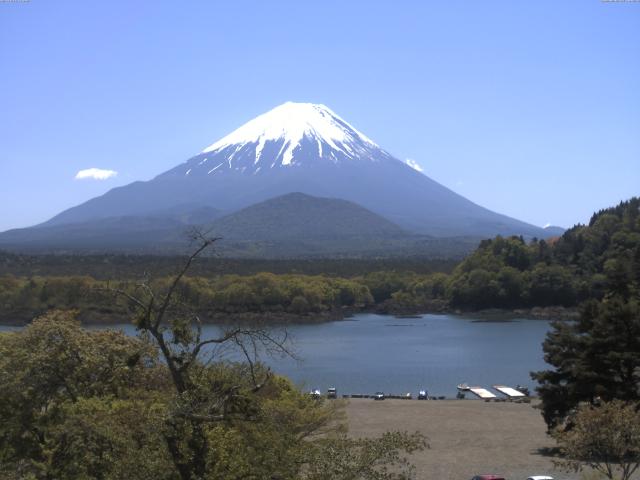 精進湖からの富士山