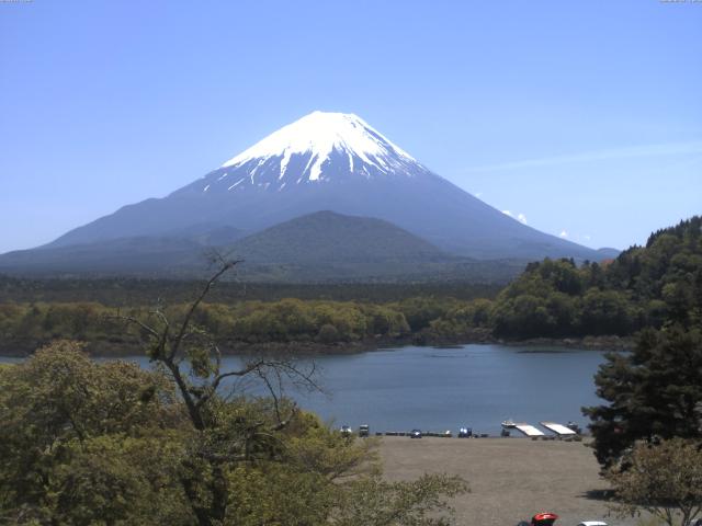 精進湖からの富士山