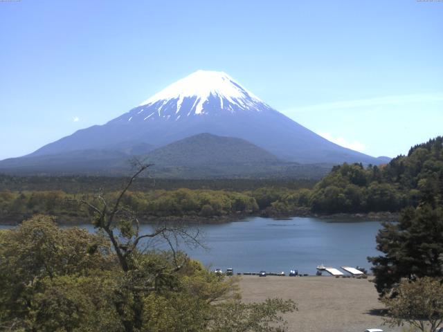精進湖からの富士山
