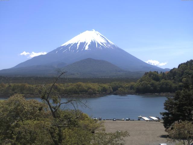 精進湖からの富士山