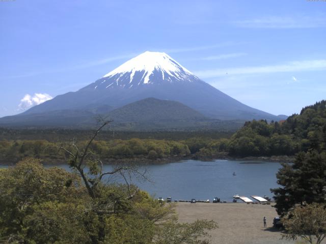精進湖からの富士山