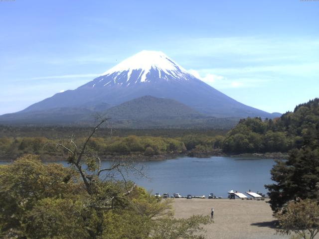 精進湖からの富士山