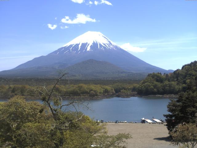精進湖からの富士山