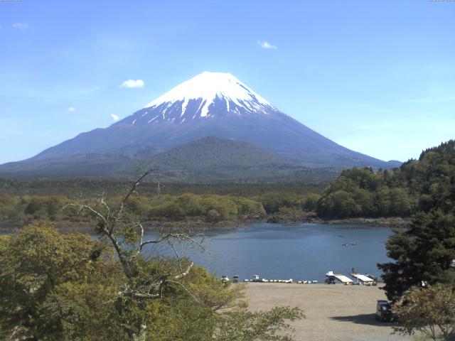 精進湖からの富士山
