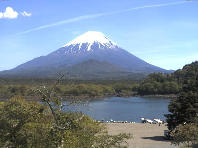 精進湖からの富士山