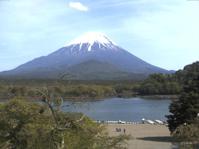 精進湖からの富士山