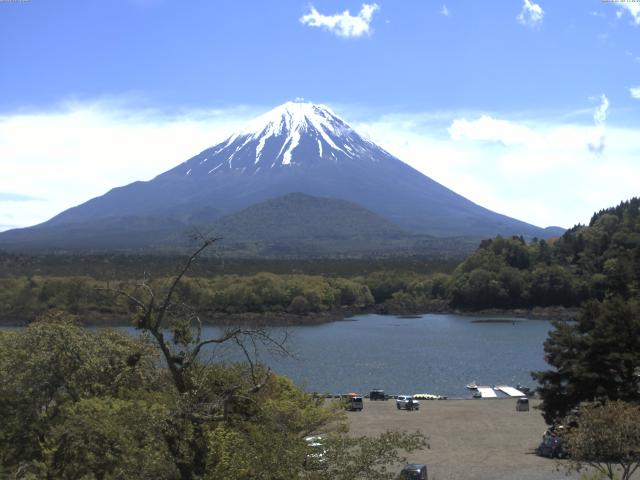 精進湖からの富士山