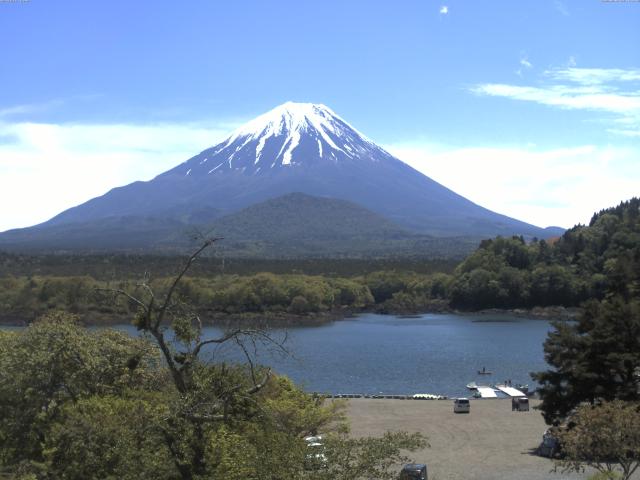精進湖からの富士山