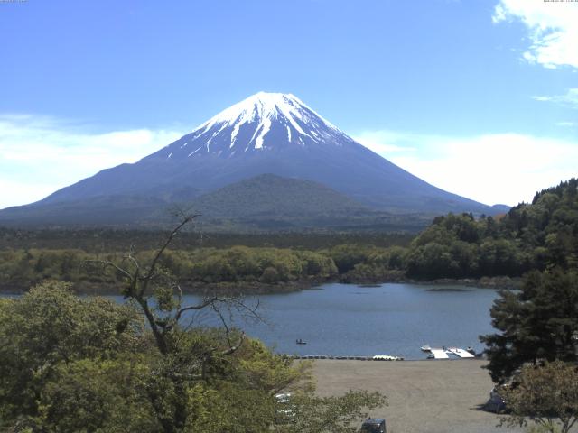 精進湖からの富士山