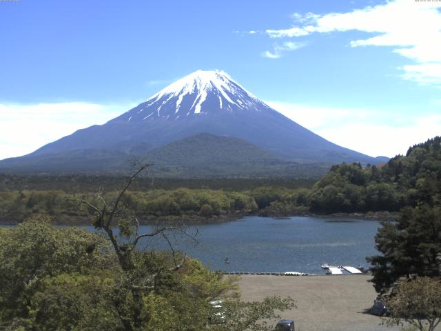 精進湖からの富士山