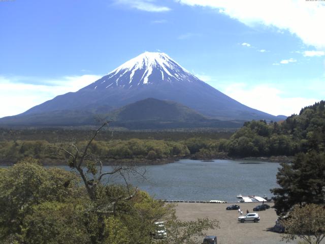 精進湖からの富士山