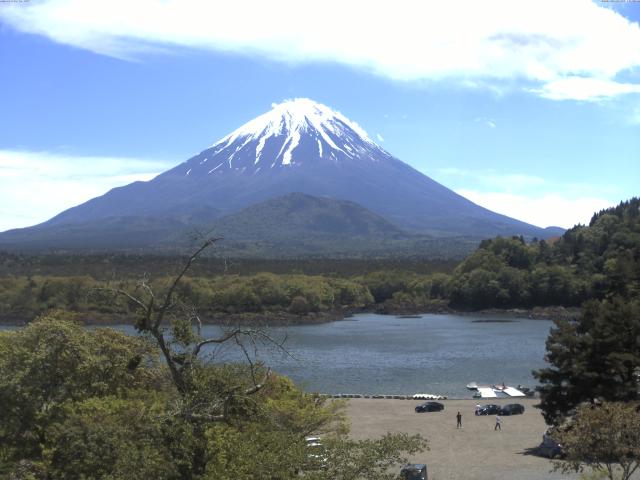精進湖からの富士山