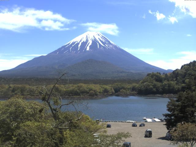 精進湖からの富士山