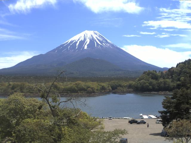 精進湖からの富士山