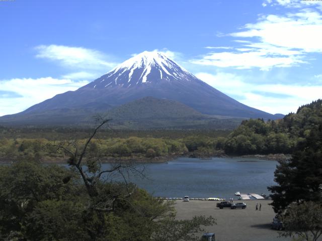 精進湖からの富士山