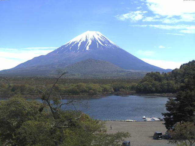 精進湖からの富士山