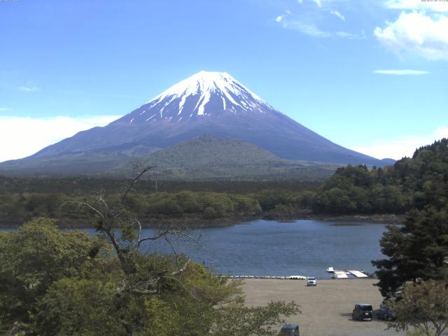 精進湖からの富士山