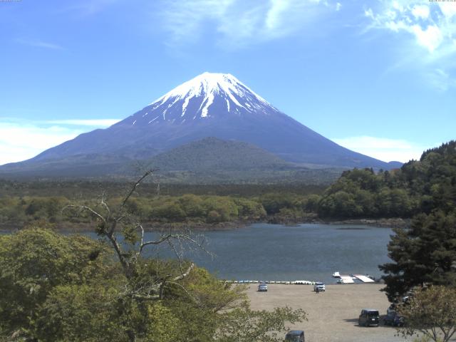 精進湖からの富士山