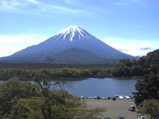 精進湖からの富士山