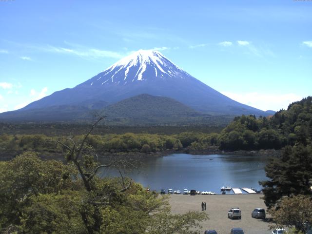 精進湖からの富士山