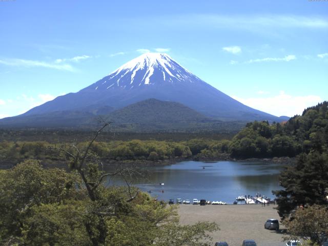 精進湖からの富士山